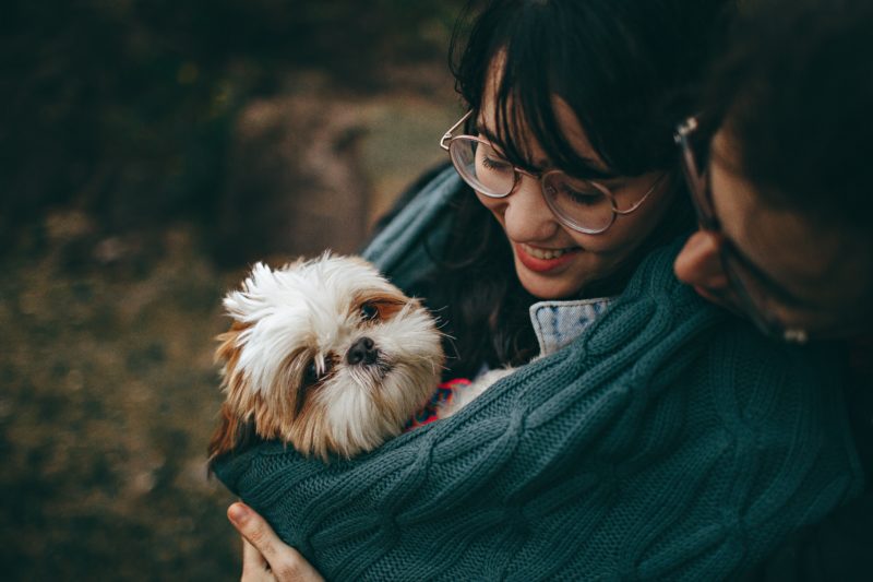 Fotoshooting Idee mit einem Hund