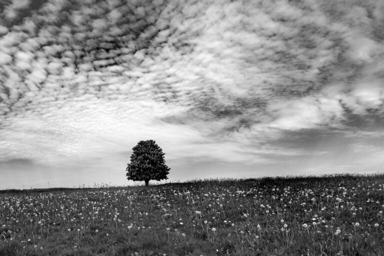 Landschaftsfoto Anleitung